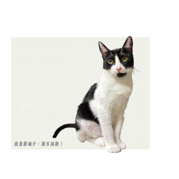 Yuzu, kucing Nicole